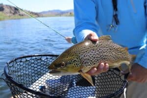 Fishing in Merritt BC